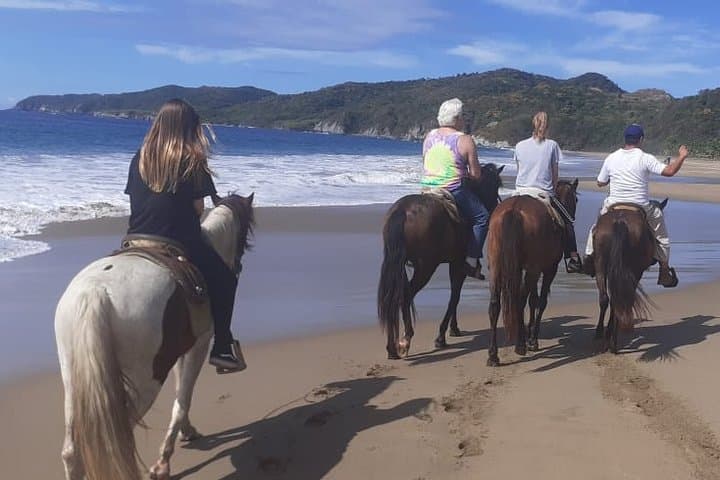 Horseback Riding in Ixtapa: Beach Gallops, Coconuts & Dolphin Sightings