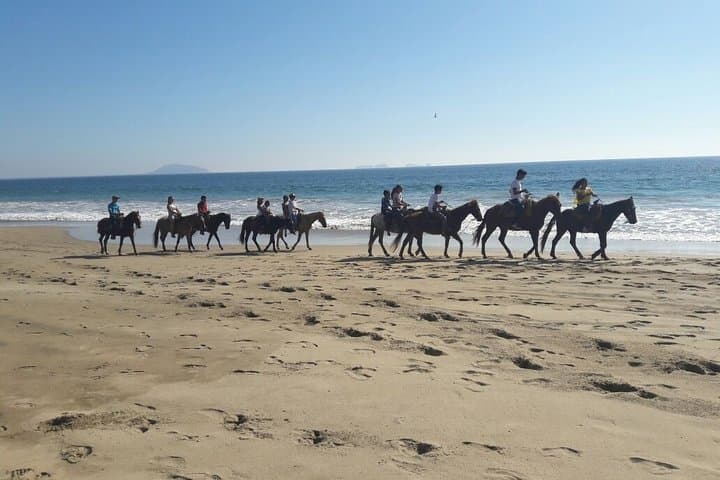 Horseback Riding in Ixtapa: Beach Gallops, Coconuts & Dolphin Sightings photo 3