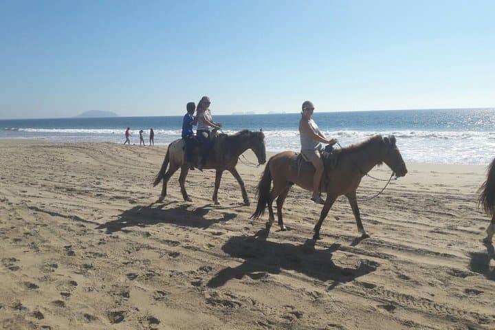 Horseback Riding in Ixtapa: Beach Gallops, Coconuts & Dolphin Sightings photo 4