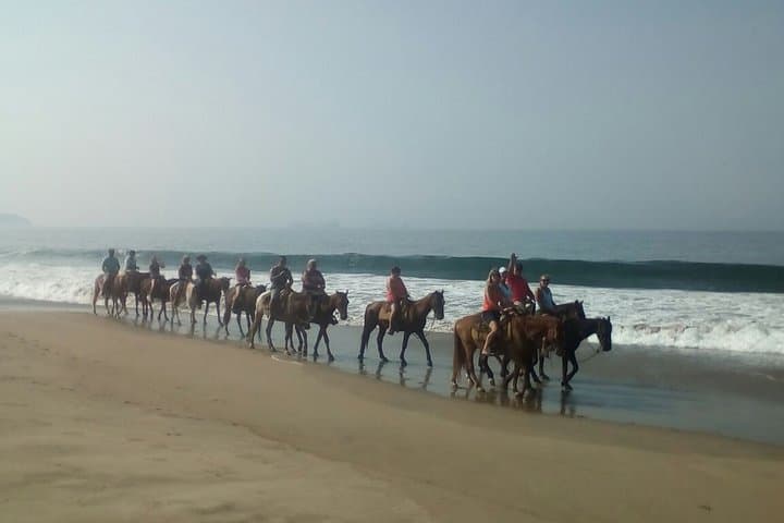 Horseback Riding in Ixtapa: Beach Gallops, Coconuts & Dolphin Sightings photo 5