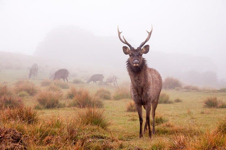 Horton Plains Trek: World's End & Baker's Falls Day Hike from Nuwara Eliya photo 2