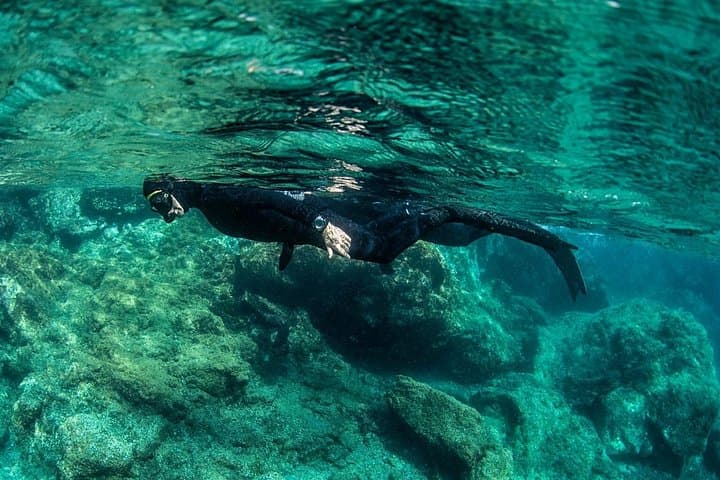 Wreck Snorkeling in Lanzarote: Swim Over Sunken Ships and Angel Sharks photo 1