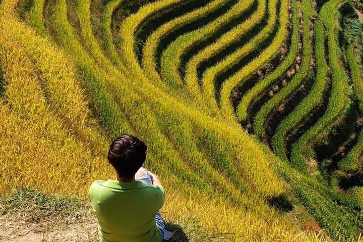 Guilin to Yangshuo: 4-Day Private Tour of Longji Terraces, Dong Villages & Li River photo 3