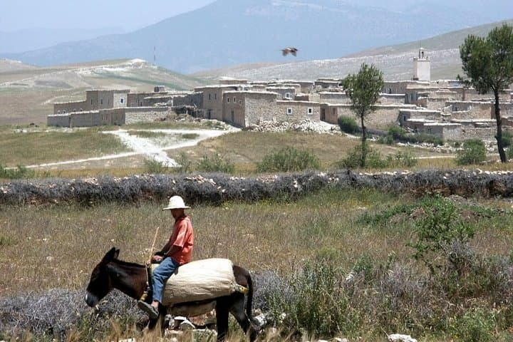 Berber Villages Trek: Private Day Trip from Marrakech to the Ourika Valley photo 2