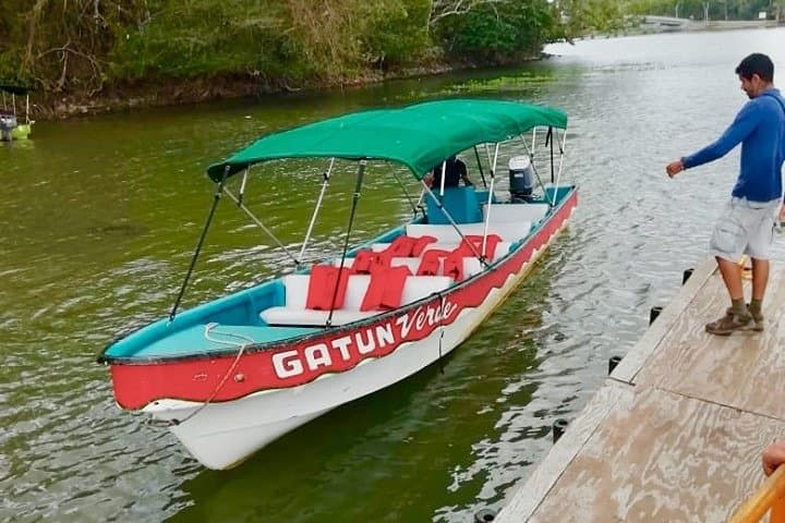 Panama Canal Trek & Cruise: Pipeline Road Birding and Gatun Lake Wildlife Tour photo 4