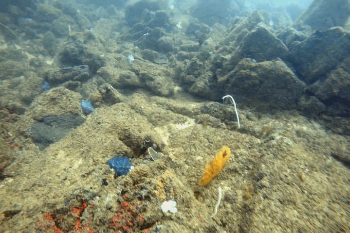 Scuba Diving in Mirissa: Wrecks, Coral & Macro Life off Sri Lanka's South Coast photo 4