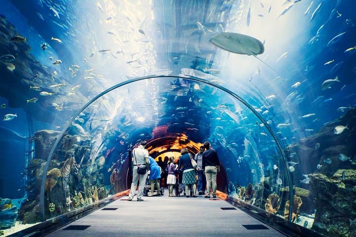 Private Dubai Hotel Transfer to Dubai Mall & Burj Khalifa photo 3