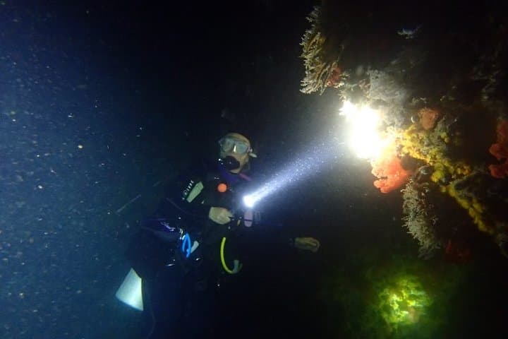 Night Scuba Diving in Mirissa: Discover Sri Lanka's Nocturnal Reef Life photo 3