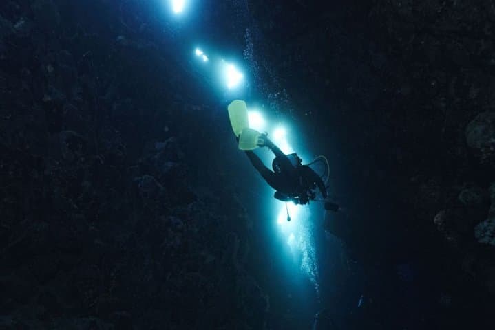 Night Scuba Diving in Mirissa: Discover Sri Lanka's Nocturnal Reef Life photo 4