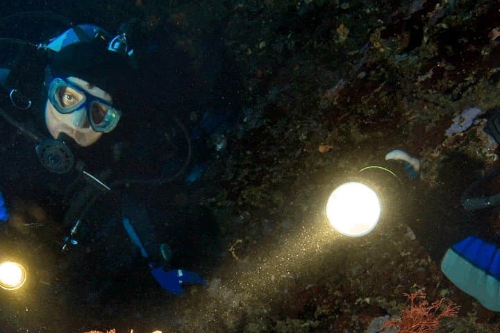 Dusk Scuba Diving in Unawatuna: Night Dive Adventure in Sri Lanka photo 1