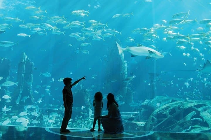 Private Transfer from Dubai Hotels to Aquaventure & Lost Chambers at Atlantis photo 3