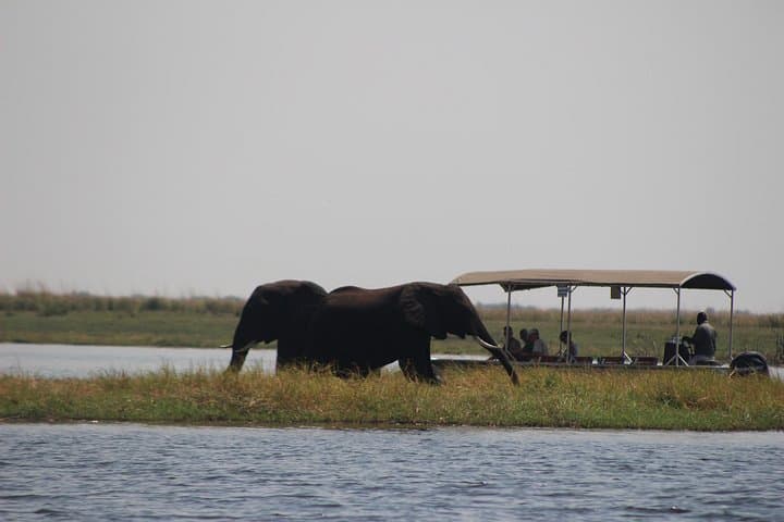 Victoria Falls and Chobe: 5-Day Falls, Safari & Zambezi Adventure photo 4