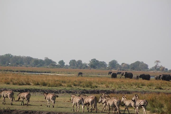 Victoria Falls and Chobe: 5-Day Falls, Safari & Zambezi Adventure photo 1