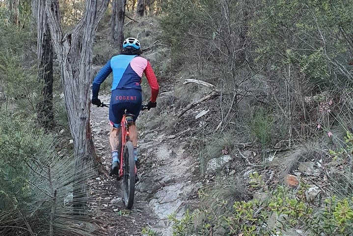 Explore Wombat State Forest & Harcourt Trails: Melbourne Mountain Bike Day Tour with Brewery Lunch photo 4