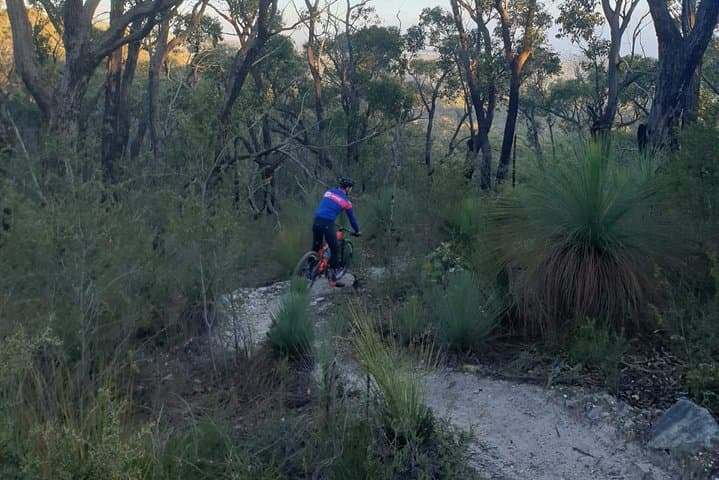 Explore Wombat State Forest & Harcourt Trails: Melbourne Mountain Bike Day Tour with Brewery Lunch photo 5
