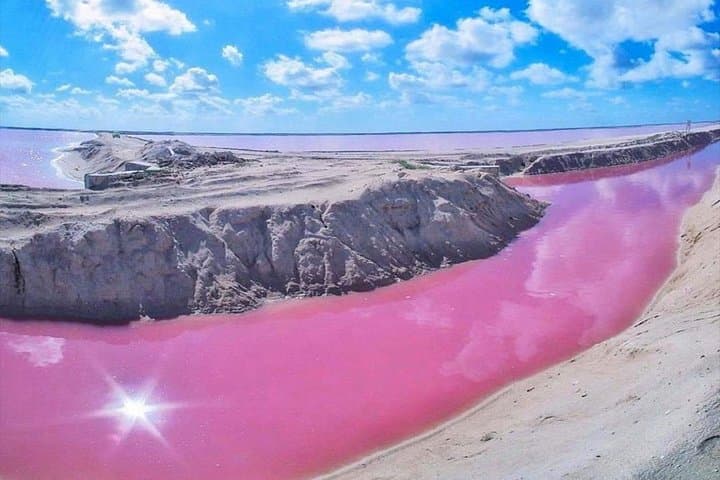 Valladolid & Las Coloradas Private Tour: Pink Lakes, Flamingos & Tequila Tasting photo 3