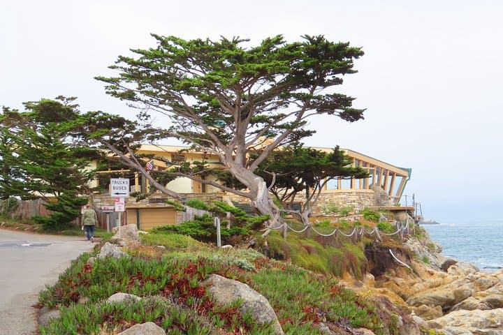 Carmel Point Audio Walking Tour: Explore Point Lobos Views & Historic Coastal Homes