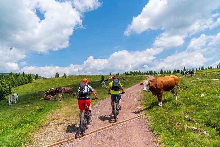 Pokljuka Mountain Biking: E‑Bike Trails in Triglav National Park photo 2
