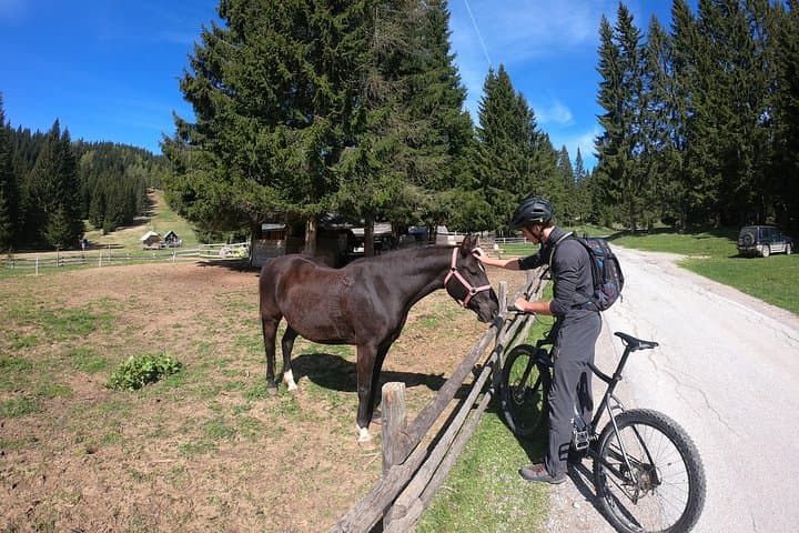 Pokljuka Mountain Biking: E‑Bike Trails in Triglav National Park photo 3