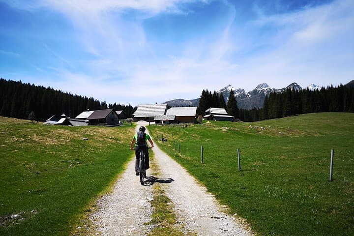 Pokljuka Mountain Biking: E‑Bike Trails in Triglav National Park photo 5