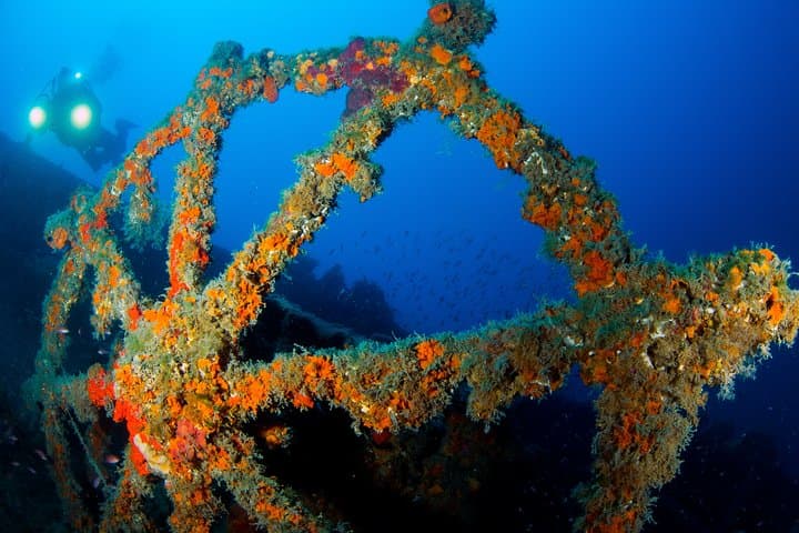 Scuba Diving in Calabria: Wrecks, Reefs & Clear Tyrrhenian Waters Near Tropea photo 6