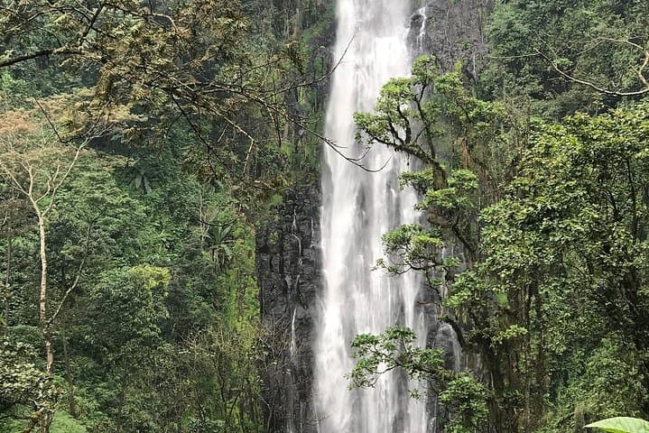 Materuni Waterfalls & Chagga Coffee Day Tour from Moshi photo 2