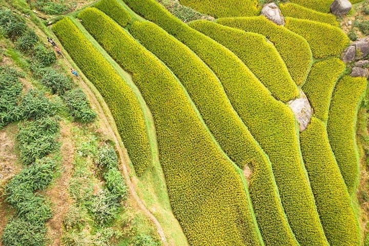 Three-Day Xuefeng Mountain Trek: Private Guided Hike with Village Stays