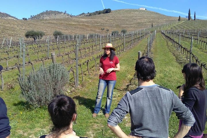 Douro Valley Day Tour: Two Vineyards, Rabelo River Cruise & Winery Lunch from Porto photo 6
