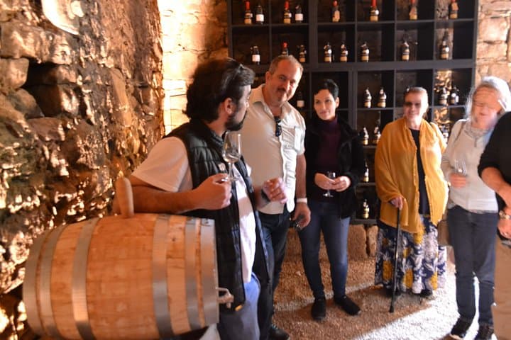 Douro Valley Wine Tour: 3 Vineyards, Tastings & Traditional Lunch from Porto photo 3