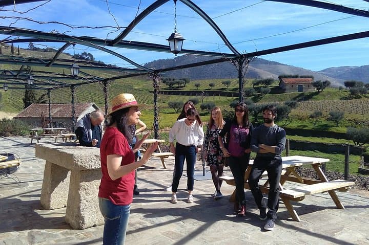 Douro Valley Wine Tour: 3 Vineyards, Tastings & Traditional Lunch from Porto photo 2