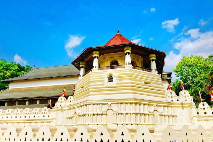 Ultimate 10-Day Private Round Trip in Sri Lanka: Culture, Wildlife, Tea & Coast photo 6