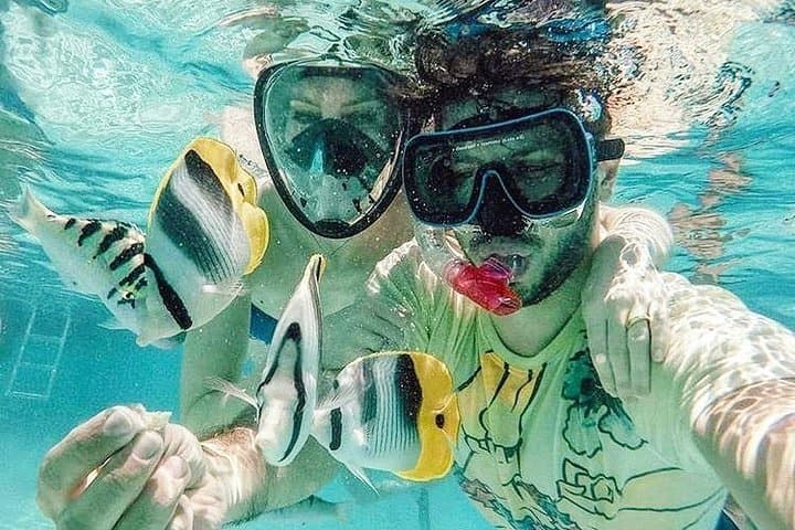 Moorea 3-Hour Private Lagoon Snorkel: Stingrays, Sharks & Coral Gardens