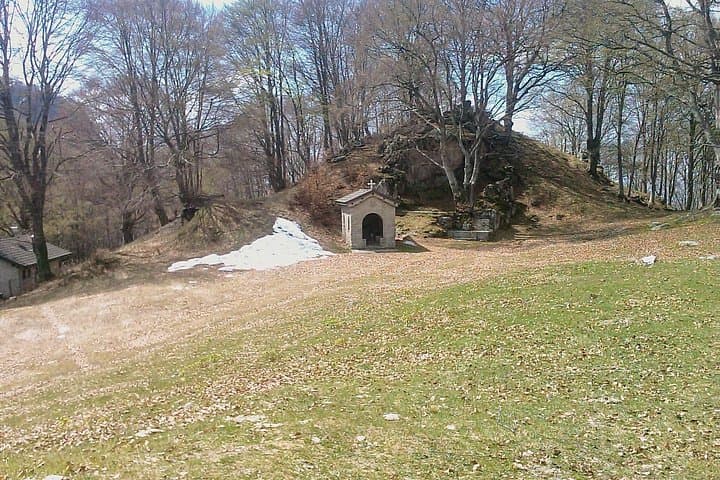 e-MTB to Alpe Bolla: Bike, Forest Trails & Alpine Cheese Tasting near Lugano photo 3
