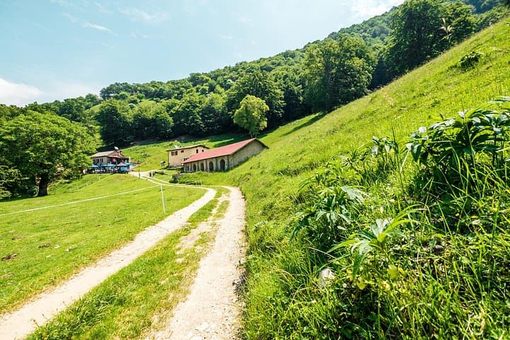 e-MTB to Alpe Bolla: Bike, Forest Trails & Alpine Cheese Tasting near Lugano photo 1