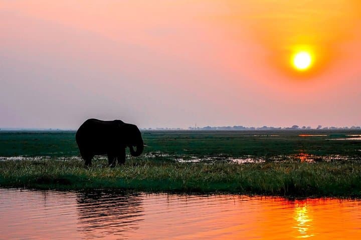 Zambezi Sunset Wildlife Cruise: Victoria Falls Evening Boat Tour photo 3