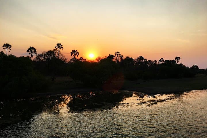 Zambezi Sunset Wildlife Cruise: Victoria Falls Evening Boat Tour photo 4