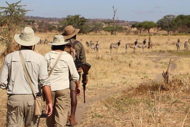 Ngorongoro & Lake Manyara 2-Day Lodge Safari from Arusha