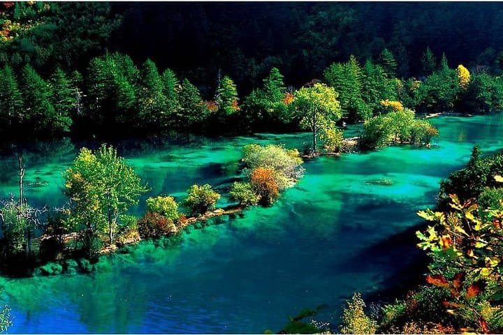 7-Day Private Sichuan Tour: Chengdu, Mount Emei & Jiuzhaigou Highlights photo 4