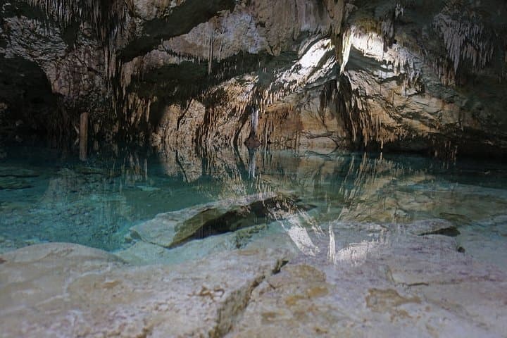 VIP Tulum Private Tour: Private Ruins, Cenotes & Coastal Flavors photo 6