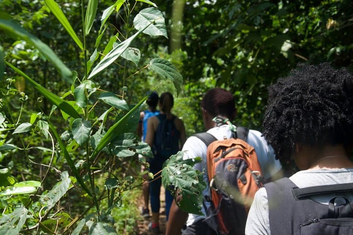 Découverte Bini Lagune: Half-Day Hike, Lagoon Lunch & Optional Canoe near Abidjan photo 6