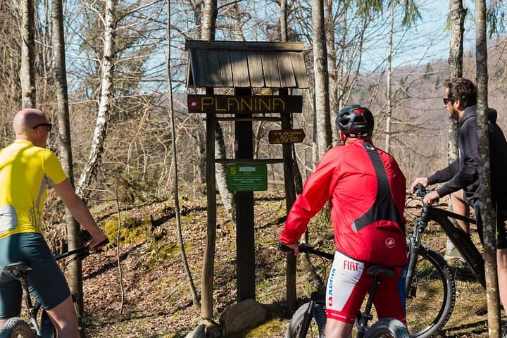 Full-Day E‑Bike Rental in Kočevski Rog: Electric Bike Adventure Through Slovenia's Forest Plateau photo 3