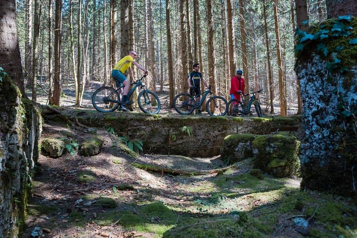 Full-Day E‑Bike Rental in Kočevski Rog: Electric Bike Adventure Through Slovenia's Forest Plateau photo 6