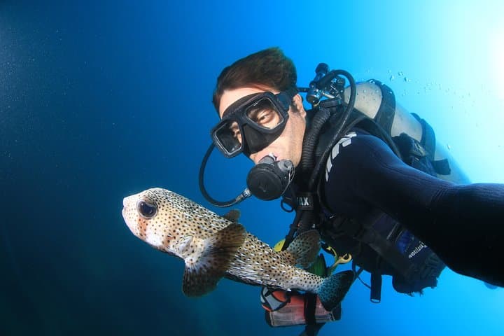Cabo San Lucas 2-Tank Dive at Land's End: Explore The Arch, Sea Lion Colony & Underwater Sandfalls photo 3