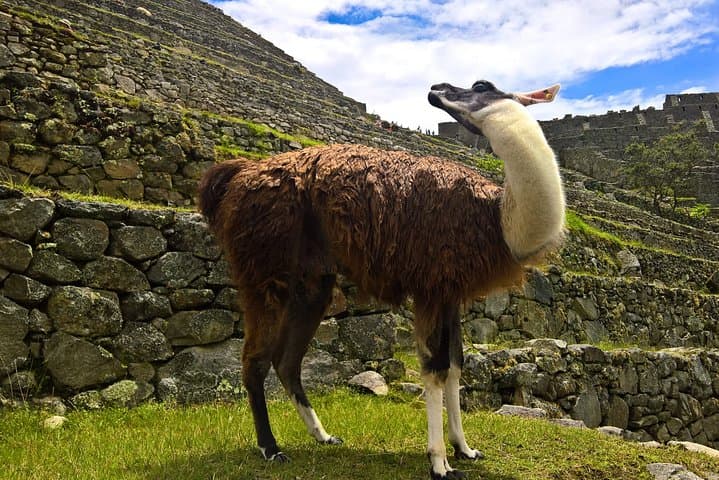 Huchuy Qosqo Trek from Cusco: 3-Day Hike to Machu Picchu via Sacred Valley photo 2