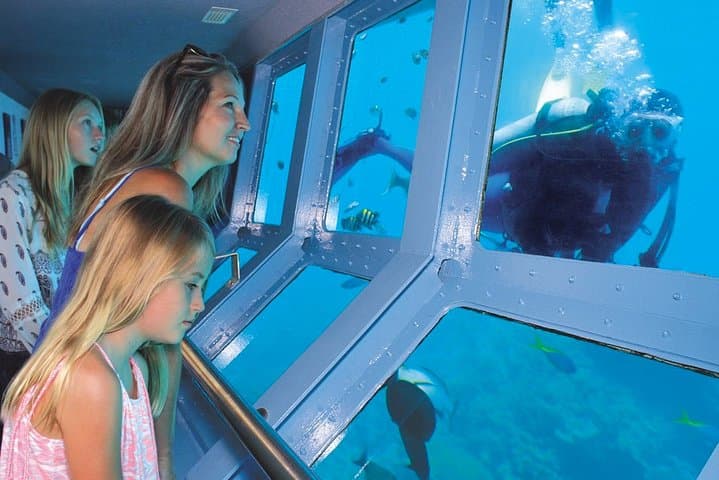 Outer Great Barrier Reef Snorkel Cruise to Agincourt Reef from Port Douglas photo 3