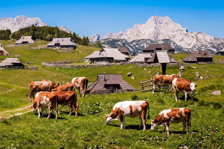 Velika Planina Shepherd's Hike: Alpine Pastures, Shepherd Huts & Gondola Access photo 3