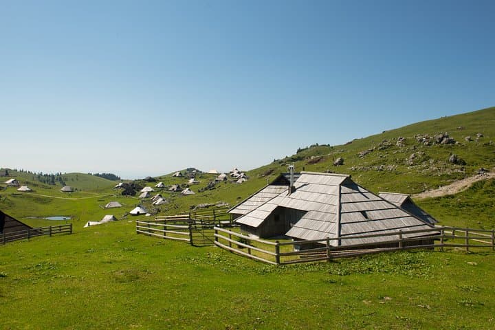 Velika Planina Shepherd's Hike: Alpine Pastures, Shepherd Huts & Gondola Access photo 4