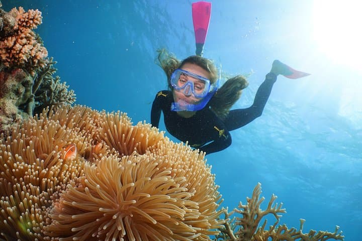 Outer Great Barrier Reef Snorkel Cruise to Agincourt Reef from Port Douglas photo 4