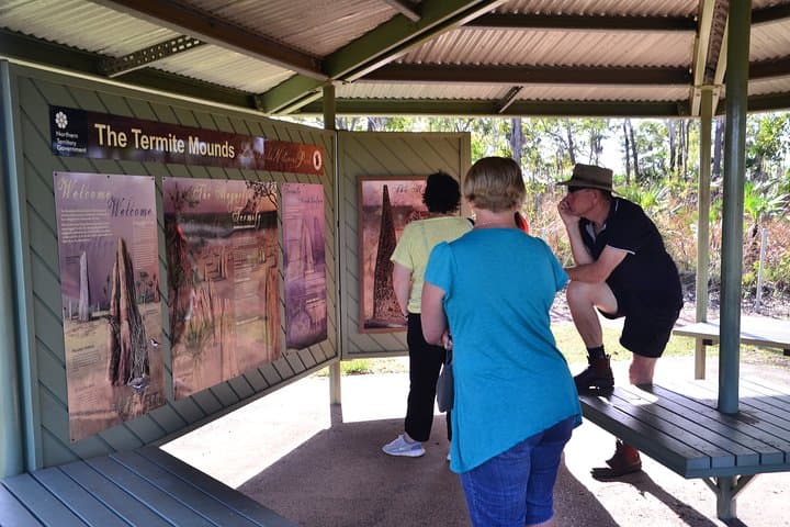 Full-Day Litchfield National Park & Jumping Crocodiles Tour from Darwin photo 4