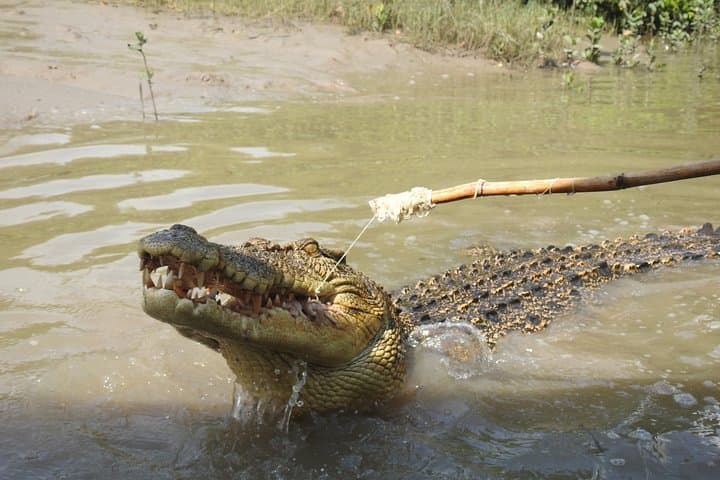 Full-Day Litchfield National Park & Jumping Crocodiles Tour from Darwin photo 2